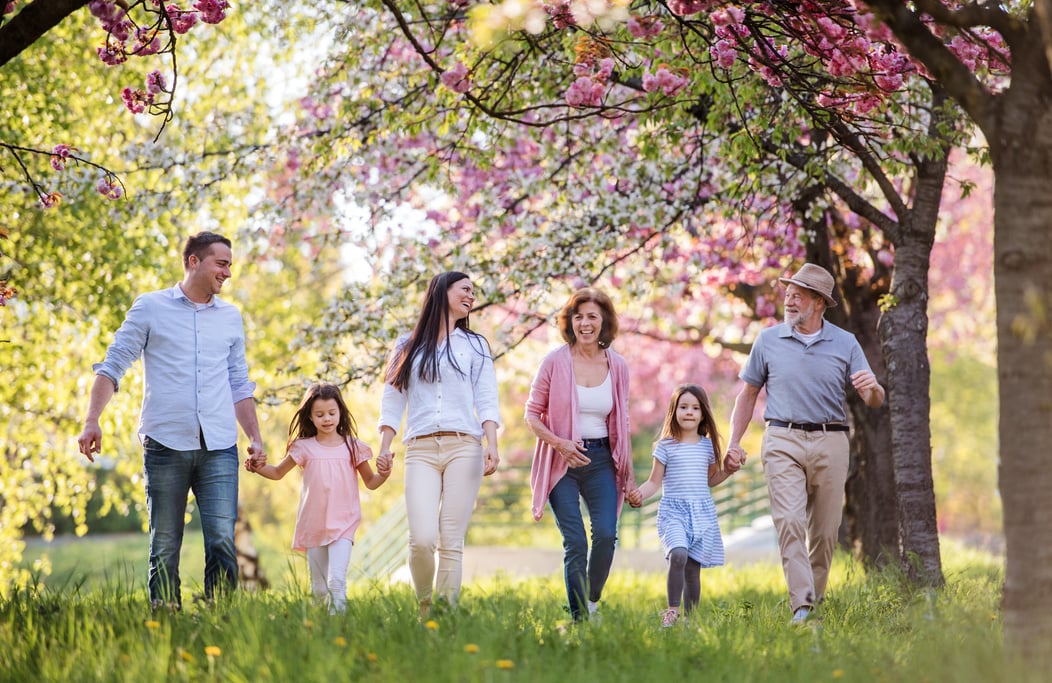 Big Family Holding Hands in the Park